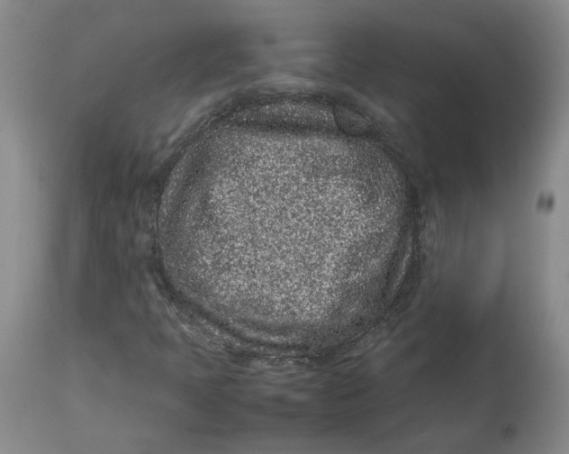 X0000113011397200909171419