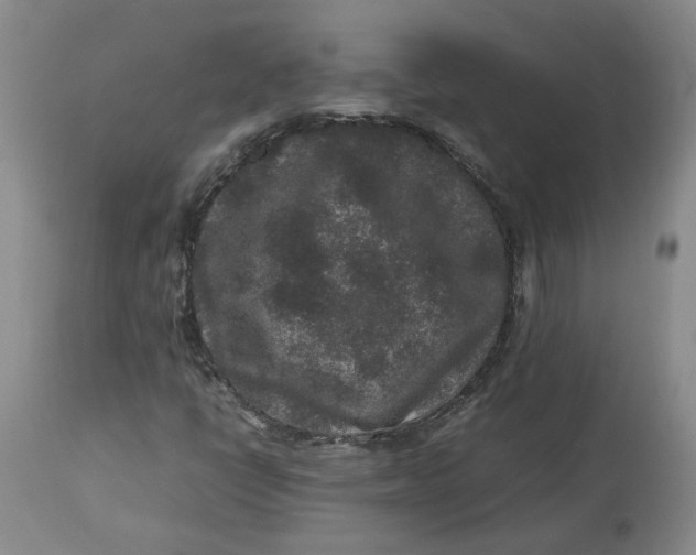 X0000113011398200909171419