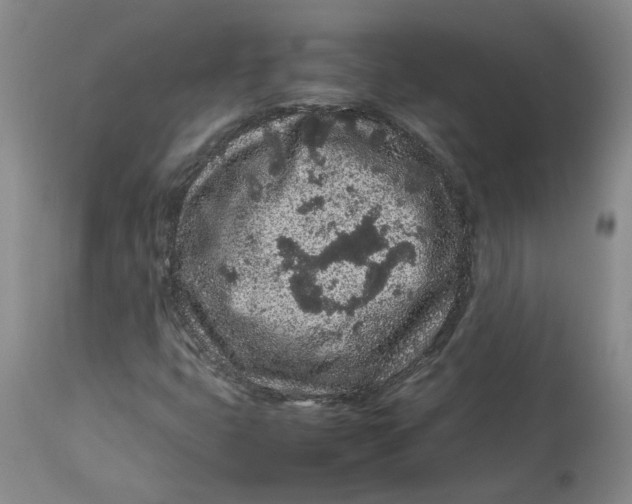 X0000113011399200909171419