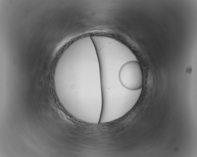 X0000113011400200909171419