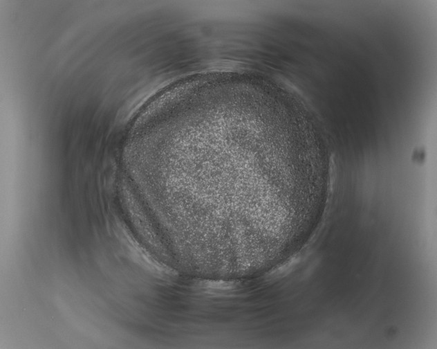 X0000113011401200909171419