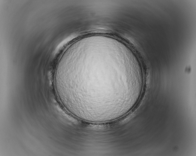 X0000113011402200909171419