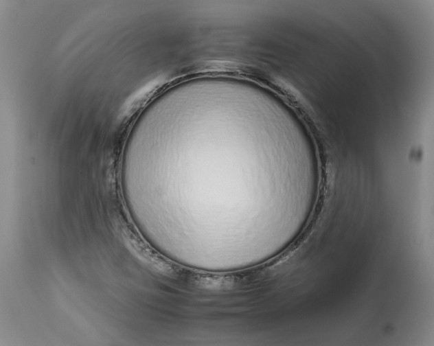 X0000113011403200909171419