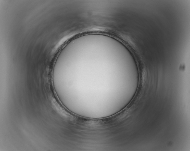 X0000113011404200909171419