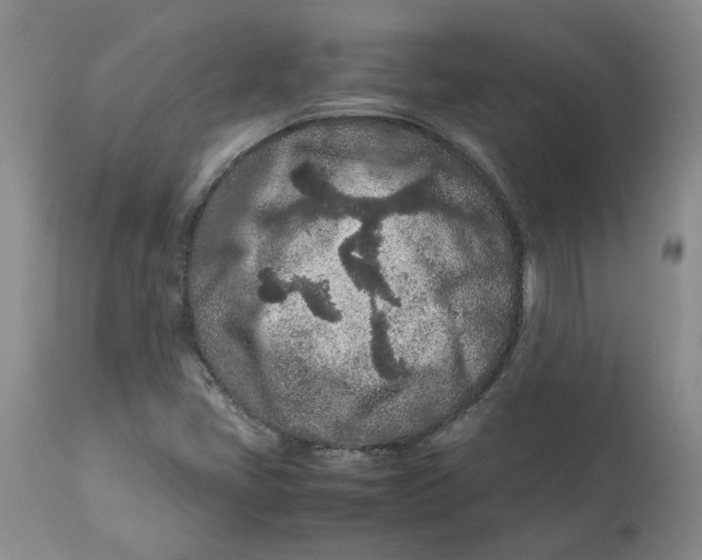 X0000113011405200909171419