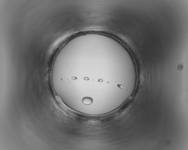 X0000113011406200909171419