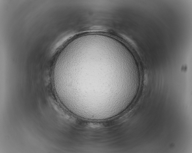 X0000113011407200909171419