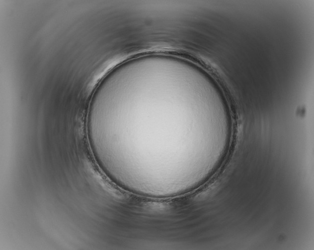 X0000113011409200909171419