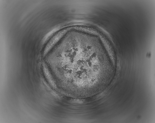 X0000113011411200909171419