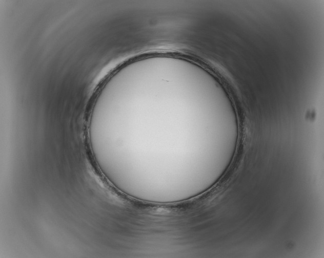 X0000113011412200909171419