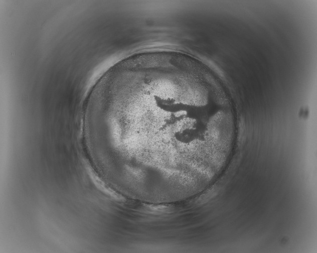 X0000113011413200909171419