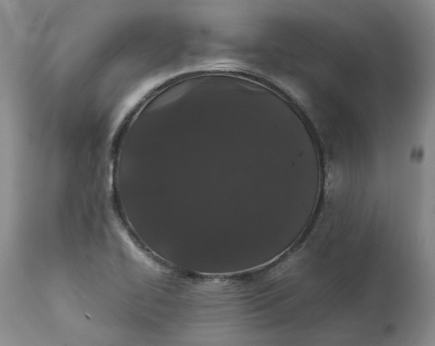 X0000113011414200909171419