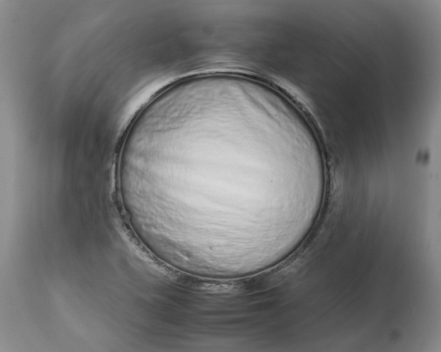 X0000113011415200909171419