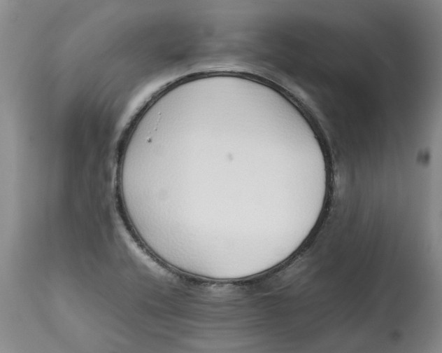 X0000113011416200909171419