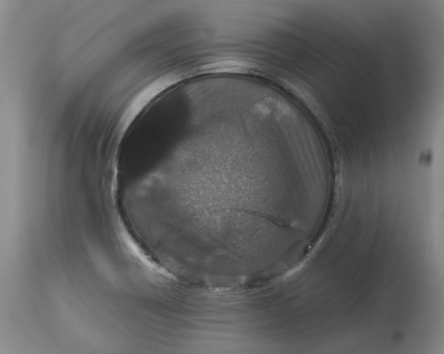 X0000113011418200909171419