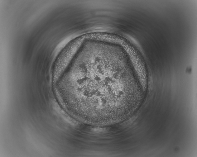 X0000113011419200909171419