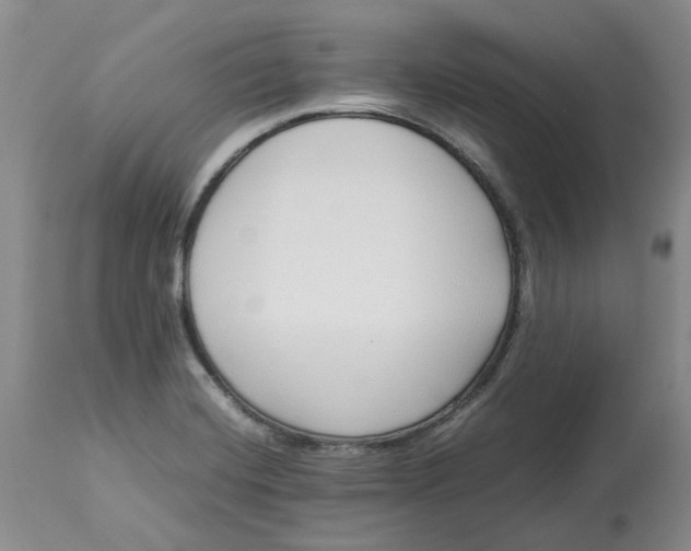 X0000113011420200909171419