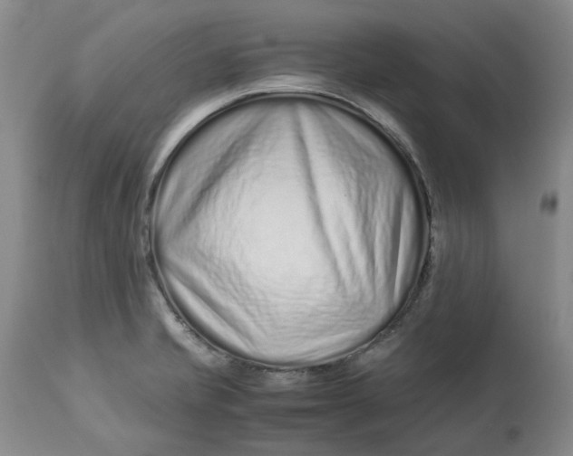 X0000113011421200909171419