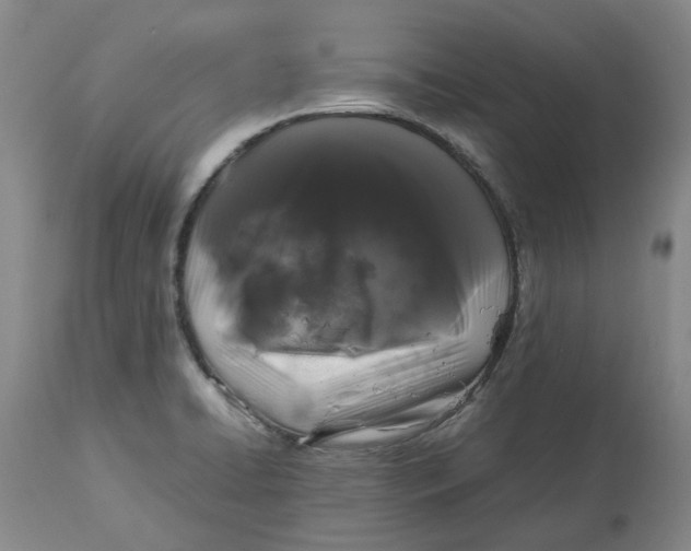 X0000113011422200909171419