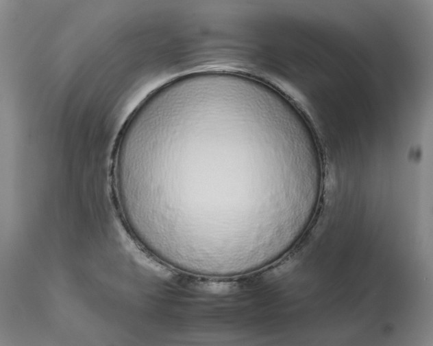 X0000113011423200909171419