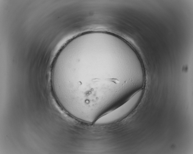 X0000113011424200909171419