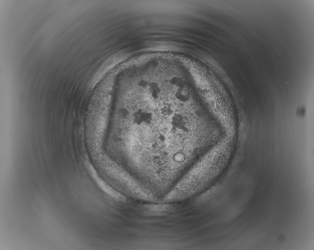 X0000113011425200909171419