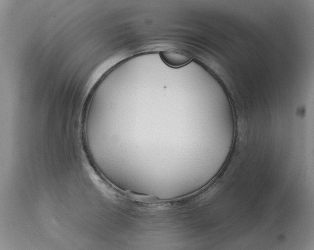 X0000113011426200909171419