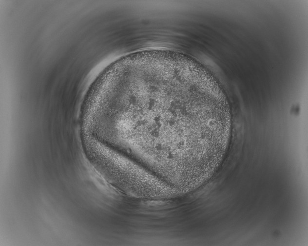 X0000113011427200909171419