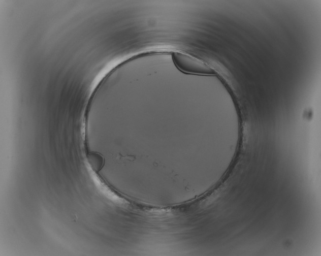 X0000113011428200909171419