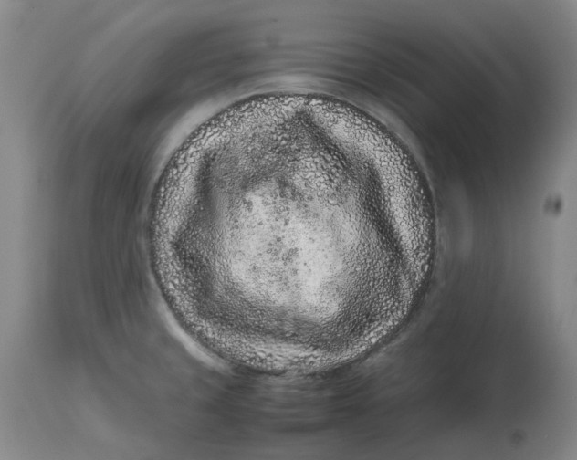 X0000113011429200909171419