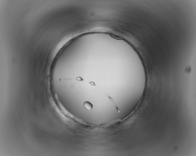 X0000113011430200909171419