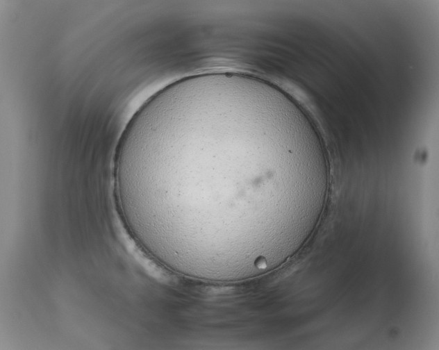 X0000113011431200909171419