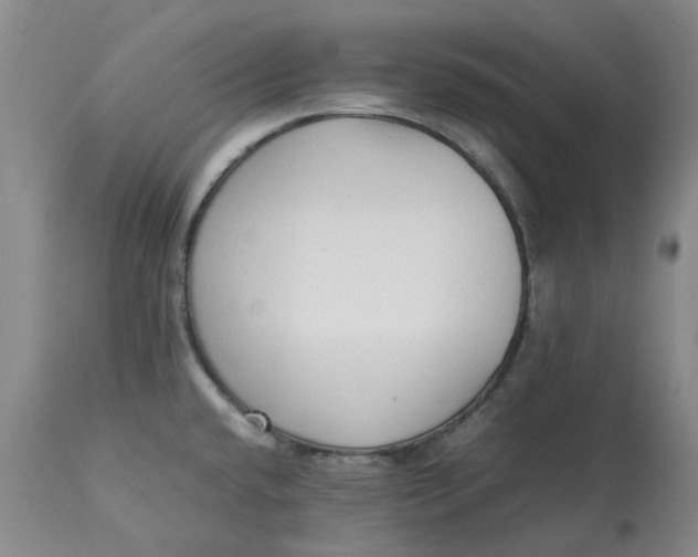 X0000113011432200909171419