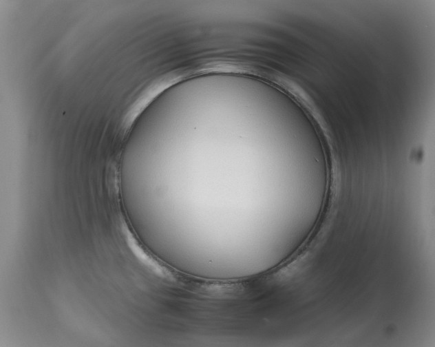 X0000113011433200909171419