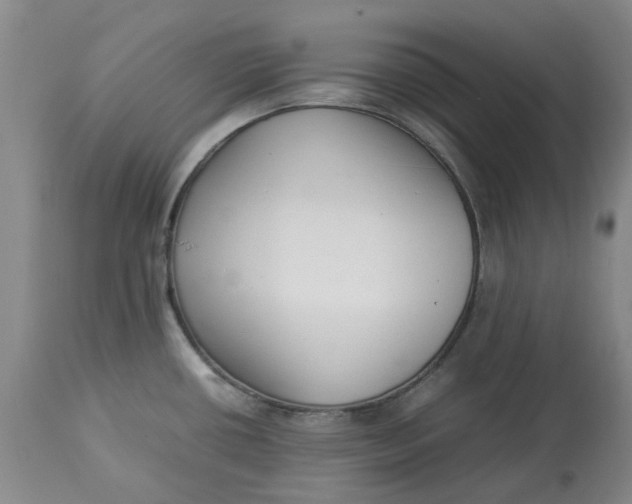 X0000113011434200909171419