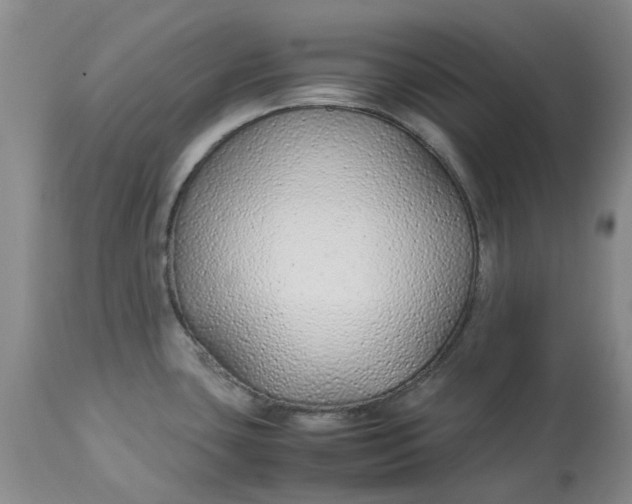 X0000113011435200909171419