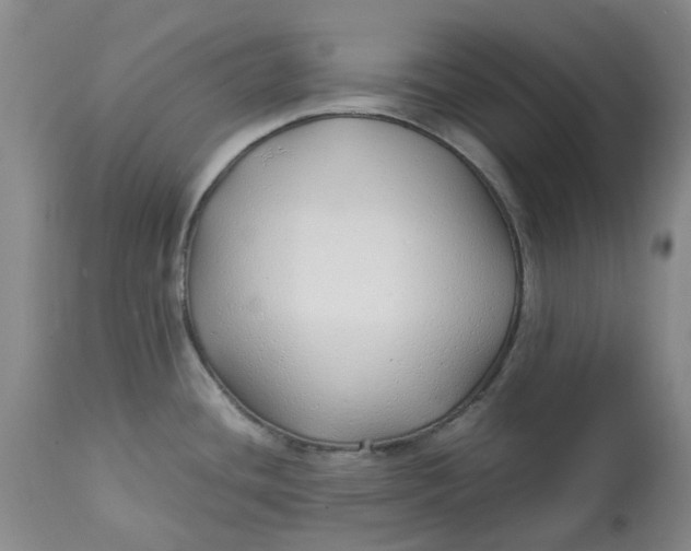 X0000113011436200909171419