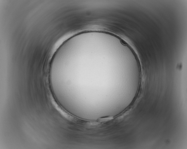 X0000113011437200909171419