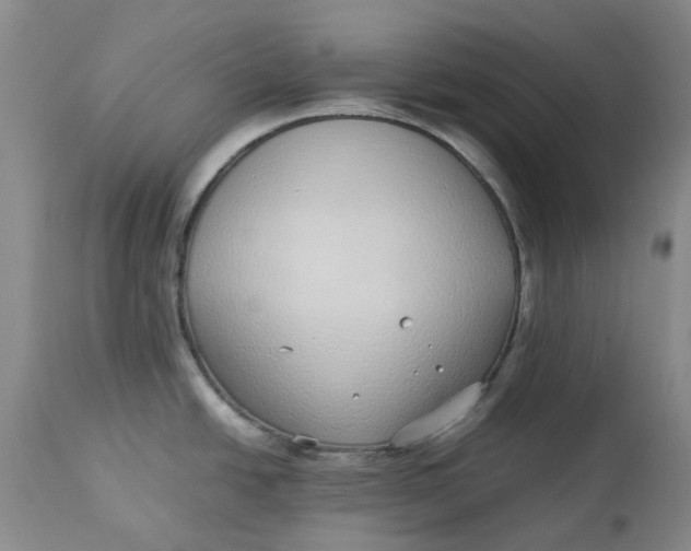 X0000113011438200909171419