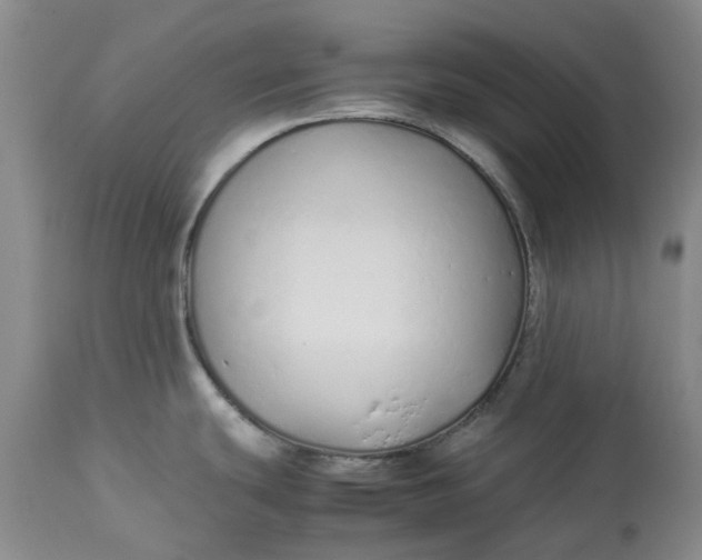 X0000113011439200909171419