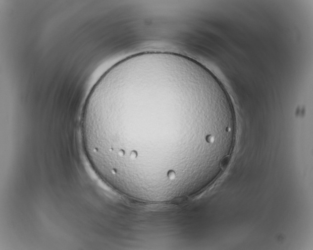 X0000113011440200909171419