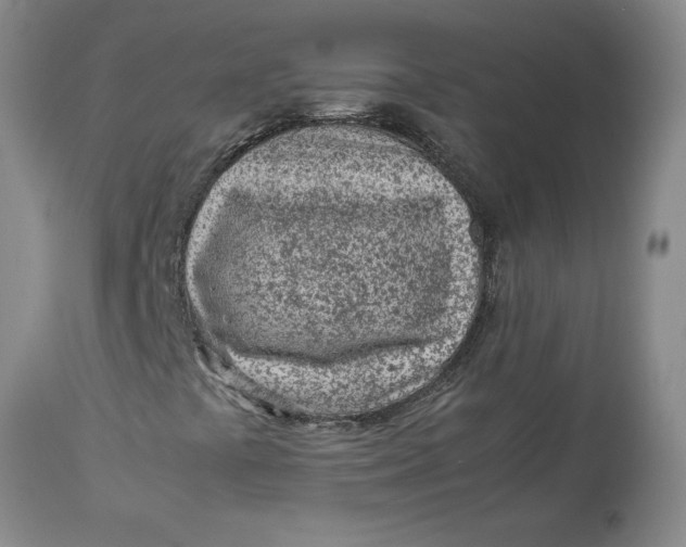 X0000113011441200909171418