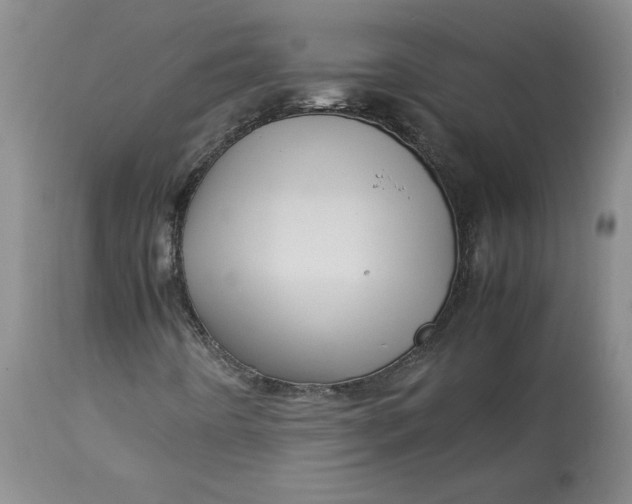 X0000113011442200909171418