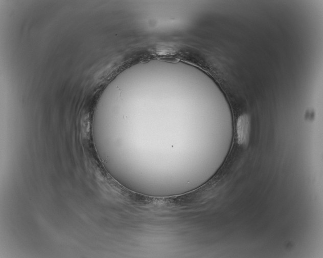 X0000113011443200909171418