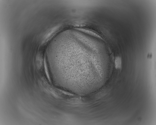 X0000113011444200909171418