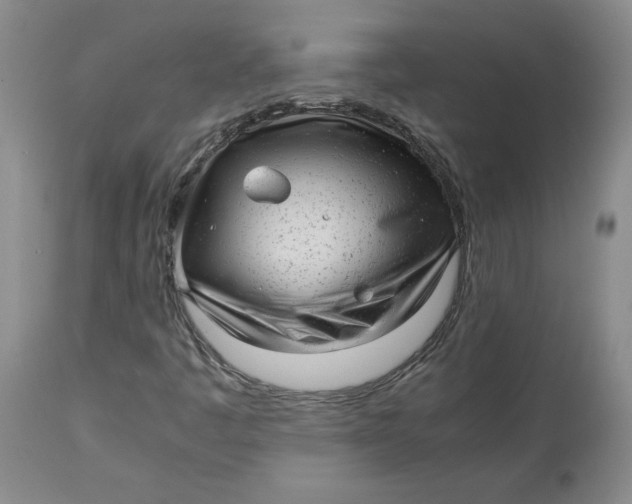 X0000113011445200909171418