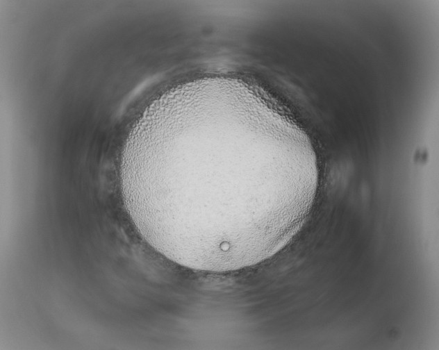 X0000113011446200909171418