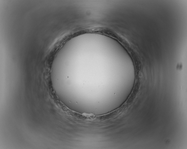 X0000113011447200909171418