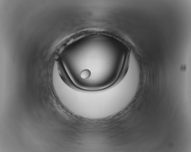 X0000113011448200909171418