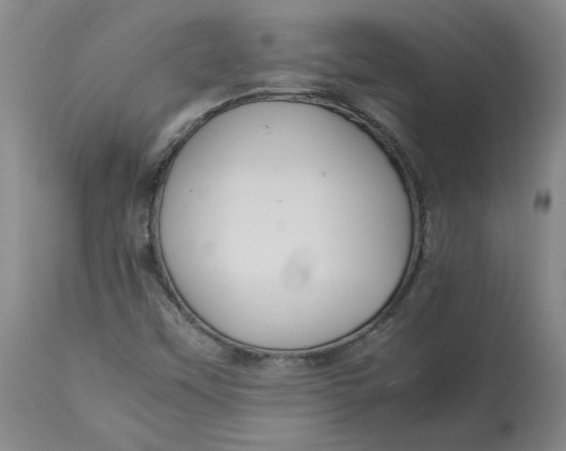 X0000113011451200909171418